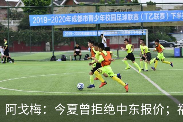 阿戈梅：今夏曾拒绝中东报价；福法纳的加盟令我震惊